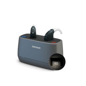 BTE Desktop Charger